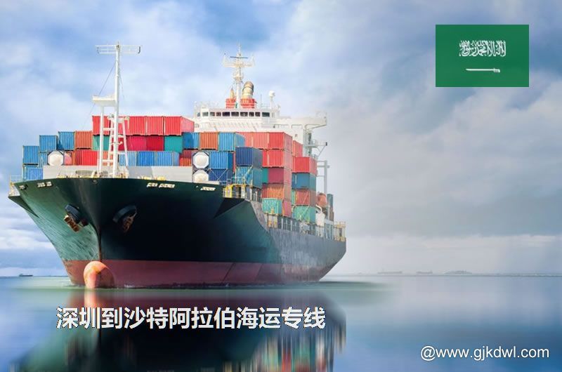 深圳到沙特阿拉伯散货海运、整柜海运、拼箱海运、双清海运门到门服务